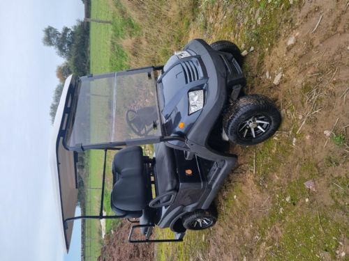 Eagle 4 Seat buggy for sale