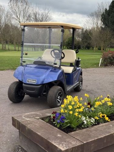 New TRYDAN Electric Golf Buggy  for sale
